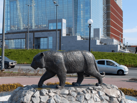 The Curious Case of State-Driven Regionalism in the Russian Far East